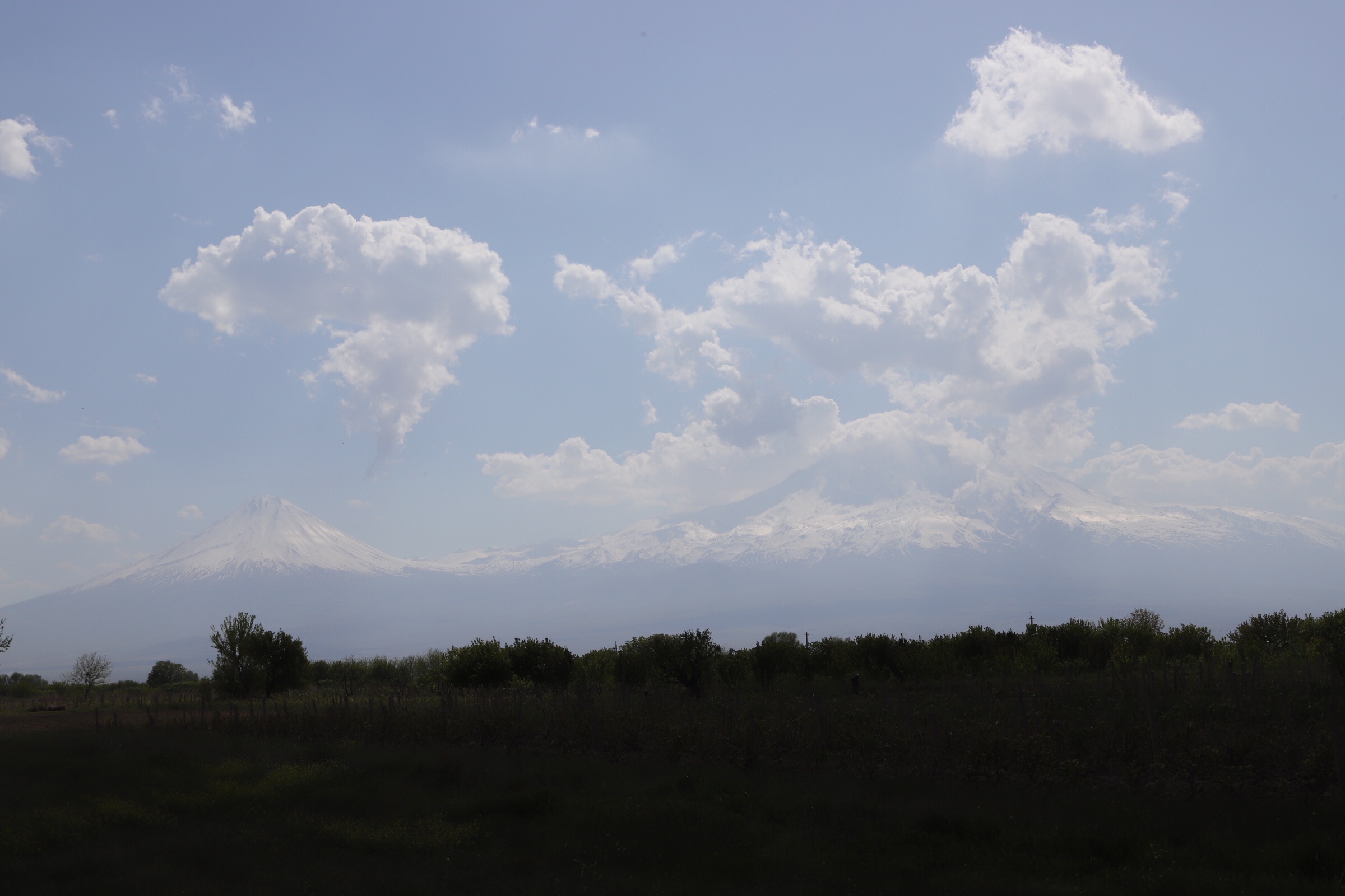 3724873074767342656_img_1449